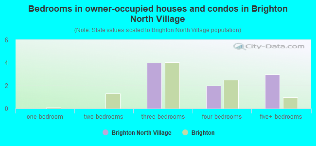Bedrooms in owner-occupied houses and condos in Brighton North Village