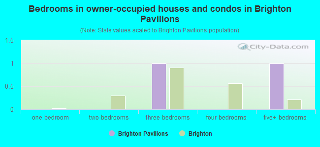 Bedrooms in owner-occupied houses and condos in Brighton Pavilions