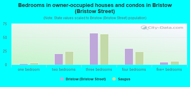 Bedrooms in owner-occupied houses and condos in Bristow (Bristow Street)