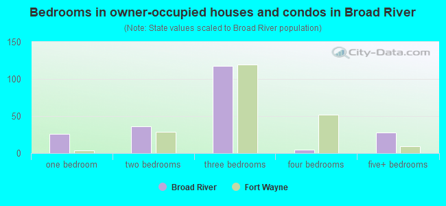 Bedrooms in owner-occupied houses and condos in Broad River