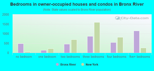Bedrooms in owner-occupied houses and condos in Bronx River