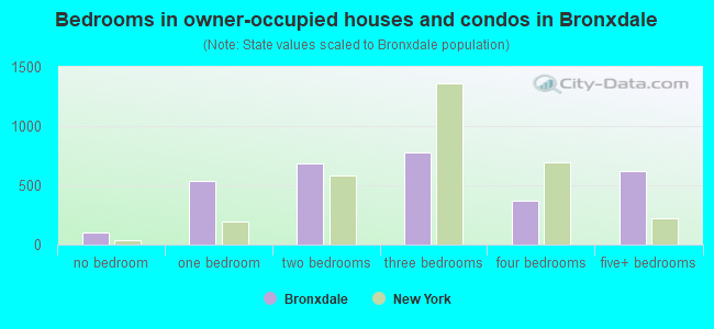 Bedrooms in owner-occupied houses and condos in Bronxdale