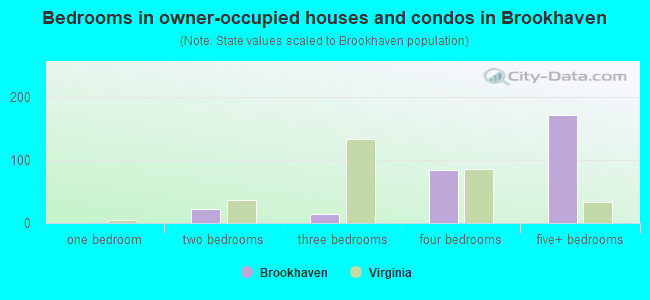 Bedrooms in owner-occupied houses and condos in Brookhaven
