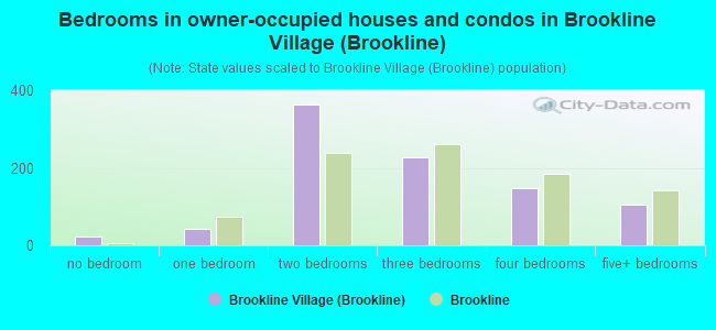 Bedrooms in owner-occupied houses and condos in Brookline Village (Brookline)