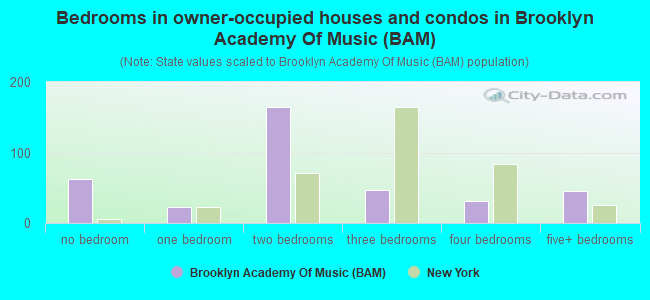 Bedrooms in owner-occupied houses and condos in Brooklyn Academy Of Music (BAM)