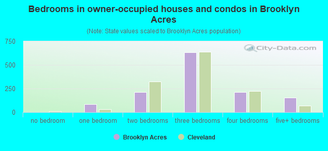 Bedrooms in owner-occupied houses and condos in Brooklyn Acres