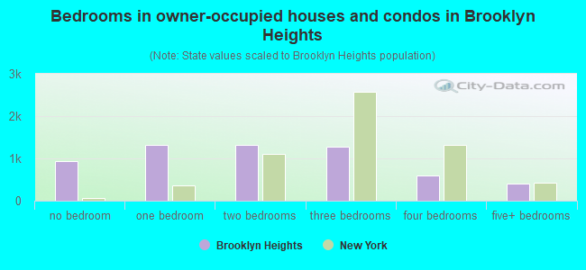 Bedrooms in owner-occupied houses and condos in Brooklyn Heights