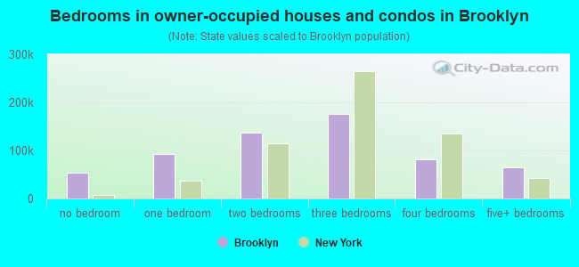 Bedrooms in owner-occupied houses and condos in Brooklyn