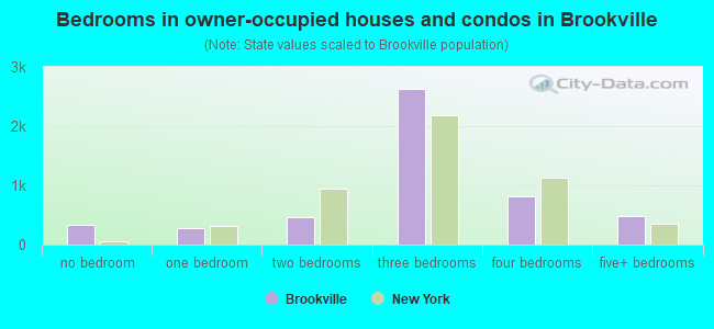 Bedrooms in owner-occupied houses and condos in Brookville