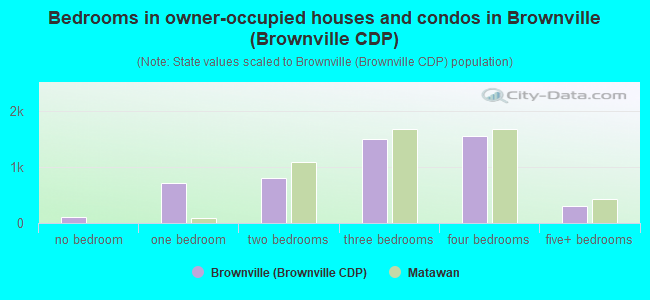 Bedrooms in owner-occupied houses and condos in Brownville (Brownville CDP)