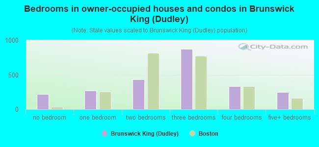 Bedrooms in owner-occupied houses and condos in Brunswick King (Dudley)