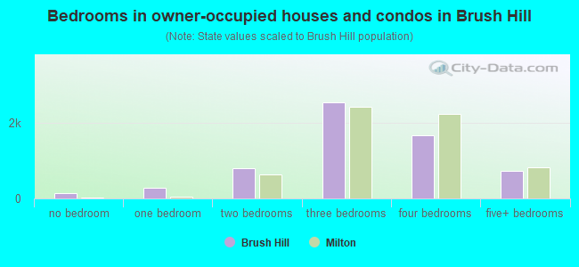 Bedrooms in owner-occupied houses and condos in Brush Hill