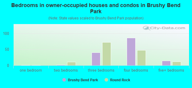 Bedrooms in owner-occupied houses and condos in Brushy Bend Park