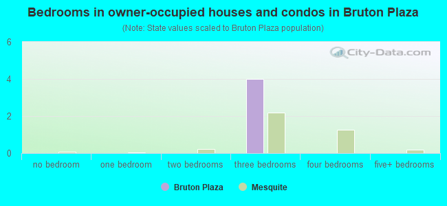 Bedrooms in owner-occupied houses and condos in Bruton Plaza