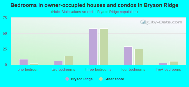 Bedrooms in owner-occupied houses and condos in Bryson Ridge
