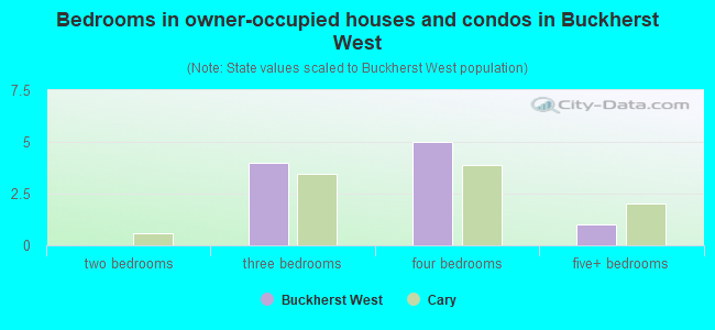Bedrooms in owner-occupied houses and condos in Buckherst West