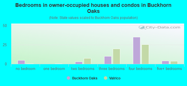 Bedrooms in owner-occupied houses and condos in Buckhorn Oaks