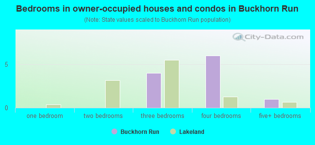 Bedrooms in owner-occupied houses and condos in Buckhorn Run