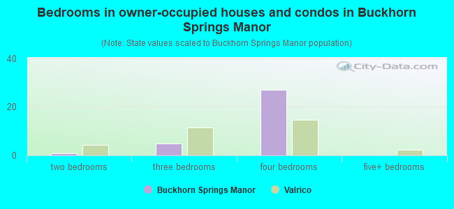 Bedrooms in owner-occupied houses and condos in Buckhorn Springs Manor