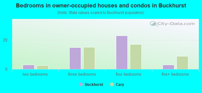 Bedrooms in owner-occupied houses and condos in Buckhurst