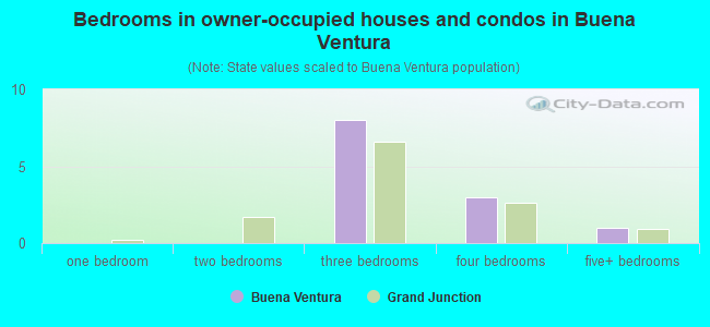 Bedrooms in owner-occupied houses and condos in Buena Ventura