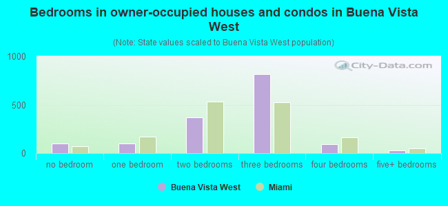 Bedrooms in owner-occupied houses and condos in Buena Vista West