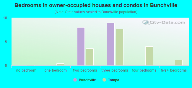 Bedrooms in owner-occupied houses and condos in Bunchville