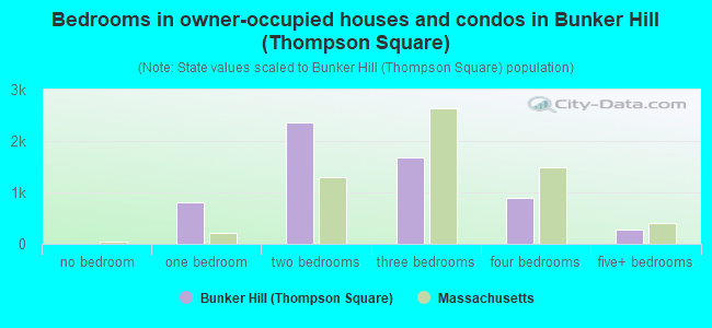 Bedrooms in owner-occupied houses and condos in Bunker Hill (Thompson Square)