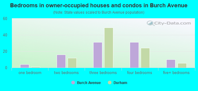 Bedrooms in owner-occupied houses and condos in Burch Avenue