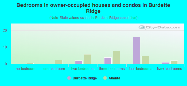 Bedrooms in owner-occupied houses and condos in Burdette Ridge