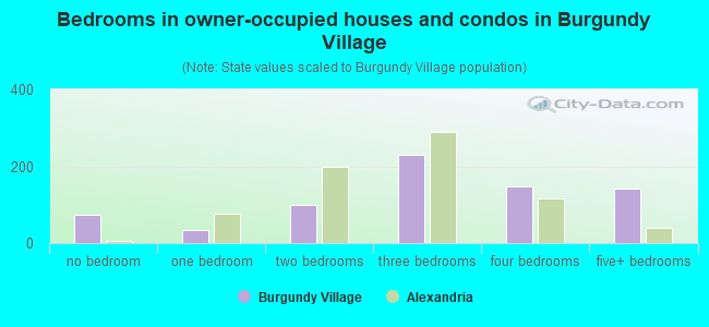 Bedrooms in owner-occupied houses and condos in Burgundy Village