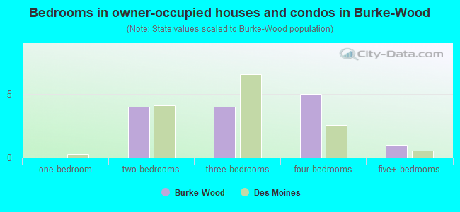Bedrooms in owner-occupied houses and condos in Burke-Wood