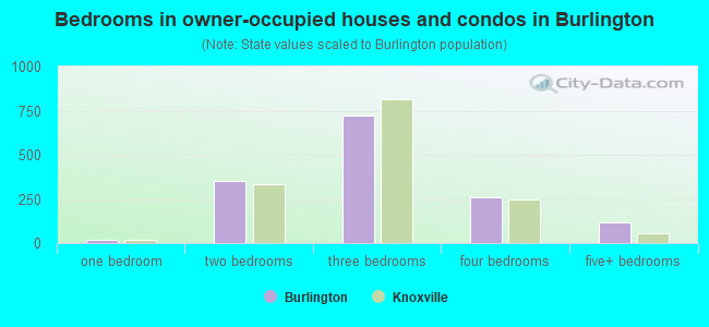 Bedrooms in owner-occupied houses and condos in Burlington
