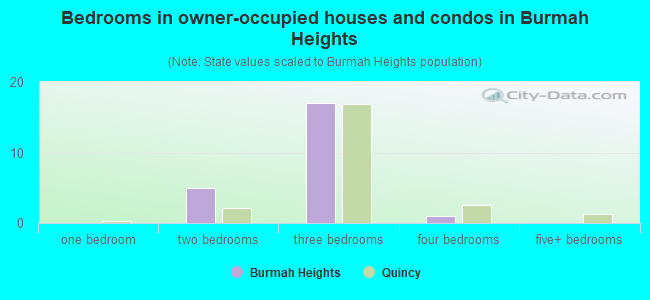Bedrooms in owner-occupied houses and condos in Burmah Heights
