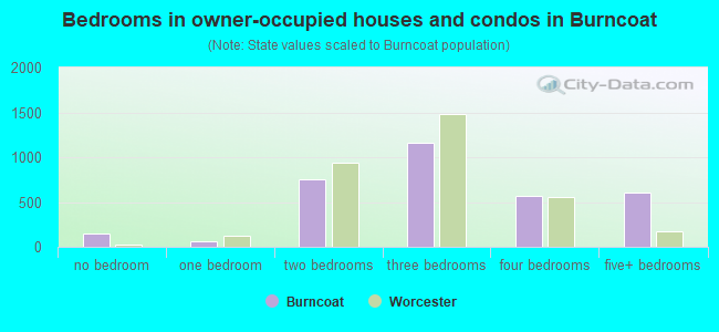 Bedrooms in owner-occupied houses and condos in Burncoat