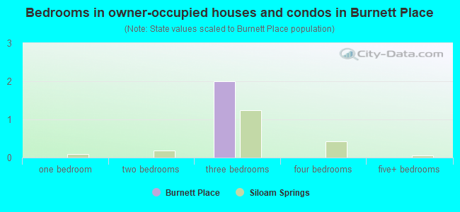 Bedrooms in owner-occupied houses and condos in Burnett Place