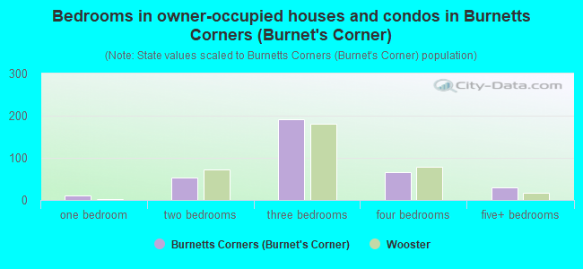Bedrooms in owner-occupied houses and condos in Burnetts Corners (Burnet's Corner)