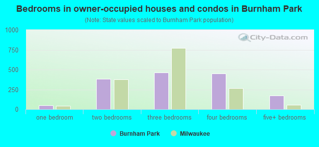 Bedrooms in owner-occupied houses and condos in Burnham Park