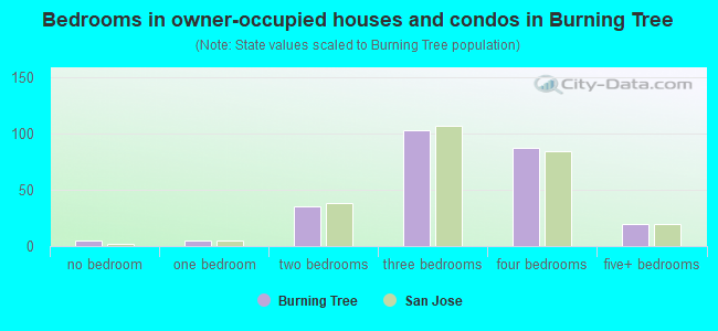Bedrooms in owner-occupied houses and condos in Burning Tree