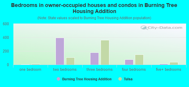 Bedrooms in owner-occupied houses and condos in Burning Tree Housing Addition