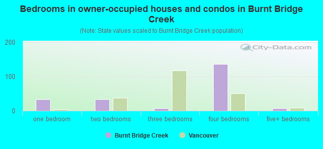 Bedrooms in owner-occupied houses and condos in Burnt Bridge Creek
