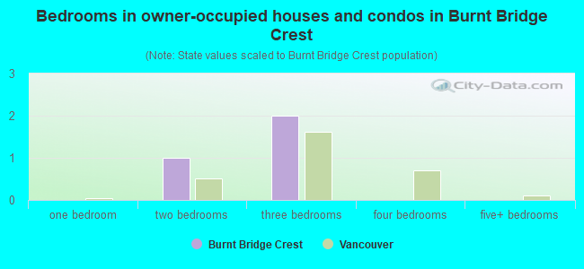 Bedrooms in owner-occupied houses and condos in Burnt Bridge Crest