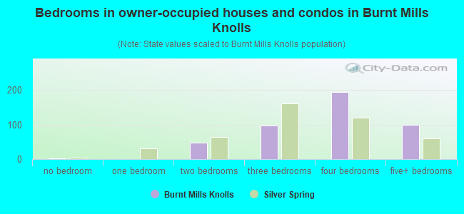 Bedrooms in owner-occupied houses and condos in Burnt Mills Knolls