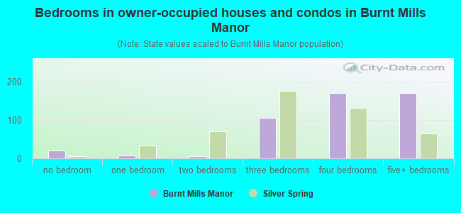 Bedrooms in owner-occupied houses and condos in Burnt Mills Manor