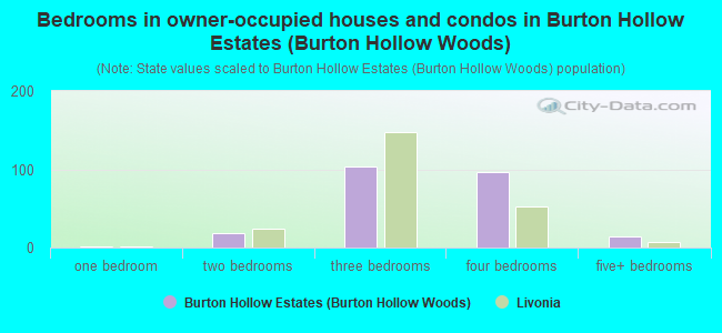 Bedrooms in owner-occupied houses and condos in Burton Hollow Estates (Burton Hollow Woods)