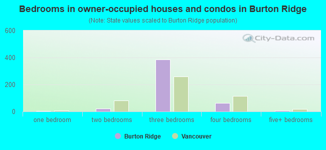Bedrooms in owner-occupied houses and condos in Burton Ridge