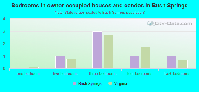 Bedrooms in owner-occupied houses and condos in Bush Springs