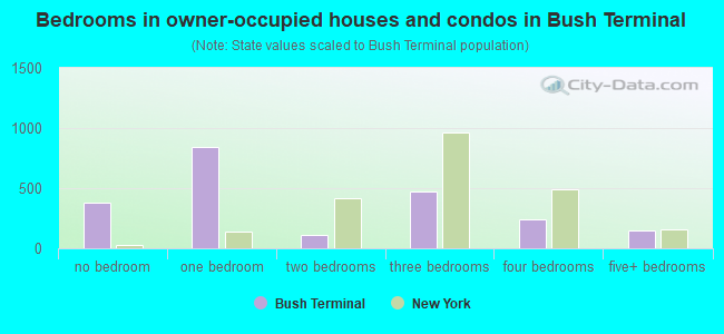 Bedrooms in owner-occupied houses and condos in Bush Terminal