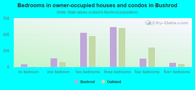 Bedrooms in owner-occupied houses and condos in Bushrod