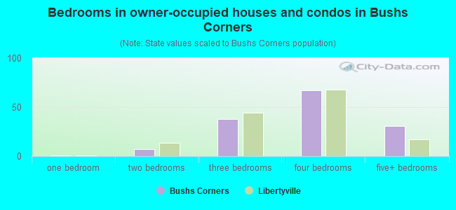 Bedrooms in owner-occupied houses and condos in Bushs Corners